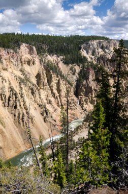 Yellowstone Nehri ve Wyoming Yellowstone Milli Parkı 'nda ingrand Kanyon düşüyor