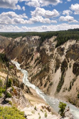 Yellowstone Nehri ve Wyoming Yellowstone Milli Parkı 'nda ingrand Kanyon düşüyor