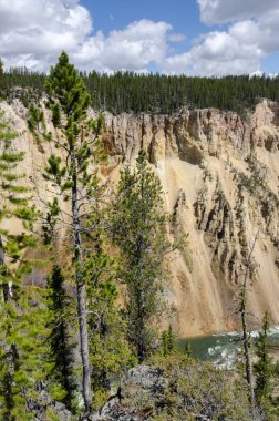 Yellowstone Nehri ve Wyoming Yellowstone Milli Parkı 'nda ingrand Kanyon düşüyor