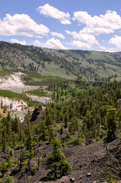 Río Yellowstone Cae Gran Cañón Parque Nacional Yellowstone Wyoming — Foto de Stock