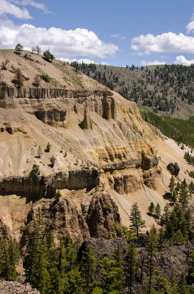 Río Yellowstone Cae Gran Cañón Parque Nacional Yellowstone Wyoming — Foto de Stock