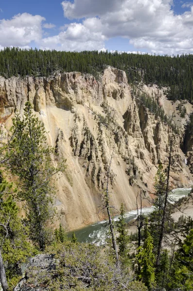 Yellowstone Nehri ve Wyoming Yellowstone Milli Parkı 'nda ingrand Kanyon düşüyor