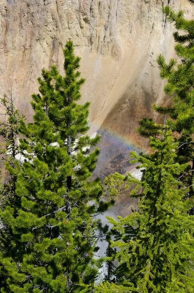 Yellowstone Nehri ve Wyoming Yellowstone Milli Parkı 'nda ingrand Kanyon düşüyor