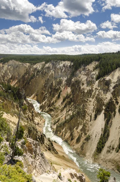 Yellowstone Nehri ve Wyoming Yellowstone Milli Parkı 'nda ingrand Kanyon düşüyor