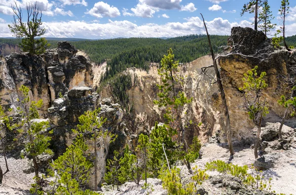 Yellowstone Nehri ve Wyoming Yellowstone Milli Parkı 'nda ingrand Kanyon düşüyor