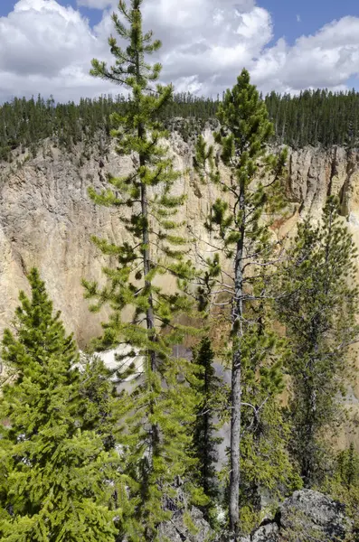 Yellowstone River Och Faller Ingrand Canyon Yellowstone National Park Wyoming — Stockfoto