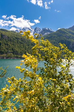 İtalya 'nın Piedmont kentindeki Ceresole Reale Gölü' ndeki dağ