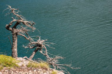 İtalya 'nın Piedmont kentindeki Ceresole Reale Gölü' ndeki dağ
