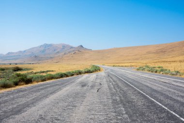 Utah 'taki Salt Lake City' deki Antilop Adası Eyalet Parkı 'ndaki manzara.