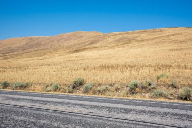 Utah 'taki Salt Lake City' deki Antilop Adası Eyalet Parkı 'ndaki manzara.