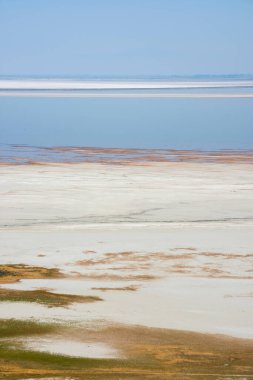 Utah 'taki Salt Lake City' deki Antilop Adası Eyalet Parkı 'ndaki manzara.