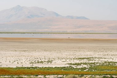 Utah 'taki Salt Lake City' deki Antilop Adası Eyalet Parkı 'ndaki manzara.