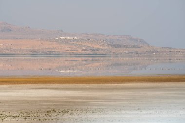 Utah 'taki Salt Lake City' deki Antilop Adası Eyalet Parkı 'ndaki manzara.