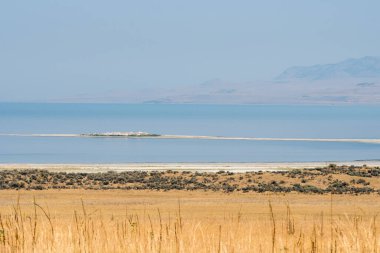 Utah 'taki Salt Lake City' deki Antilop Adası Eyalet Parkı 'ndaki manzara.