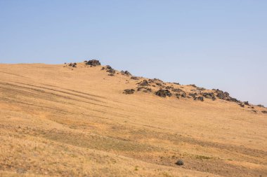 Utah 'taki Salt Lake City' deki Antilop Adası Eyalet Parkı 'ndaki manzara.