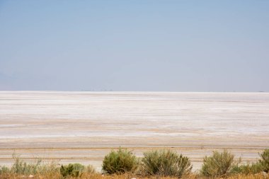 Utah 'taki Salt Lake City' deki Antilop Adası Eyalet Parkı 'ndaki manzara.