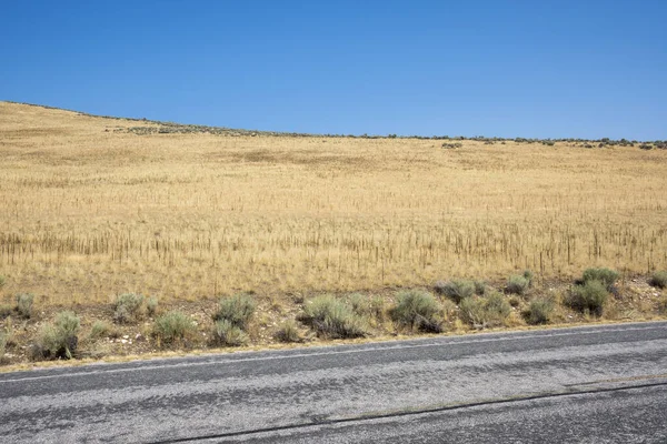 Landschaft Auf Der Straße Antelope Island State Park Der Salzsee — Stockfoto