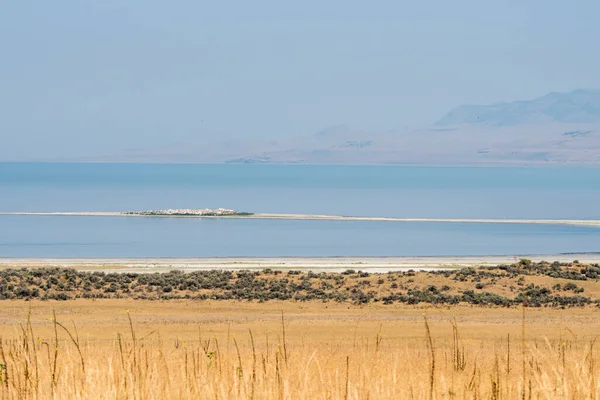 Landskab Vejen Antelope Østat Park Salt Utah - Stock-foto