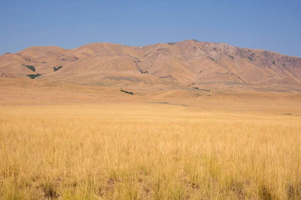 Paisagem Estrada Antelope Ilha Parque Estadual Sal Lago Cidade Utah — Fotografia de Stock