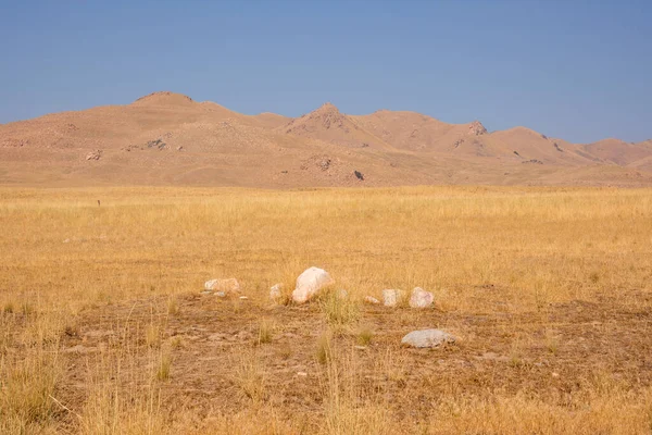 Krajobraz Drodze Antelope Island State Park Mieście Słone Jezioro Utah — Zdjęcie stockowe