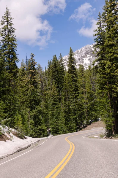 Paisagem Natural Com Neve Junho Parque Nacional Yellowstone Verão Wyoming — Fotografia de Stock