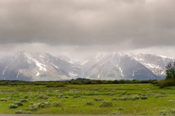 Nature Landscape Snow June Yellowstone National Park Summer Wyoming — Stock Photo, Image