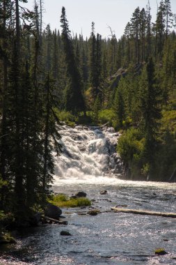 Yellowstone Gölü ve Yellowstone Nehri Wyoming 'deki Yellowstone Ulusal Parkı' nda.