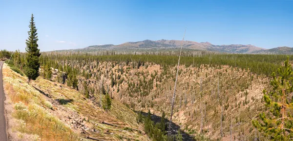 Yellowstone Gölü Yellowstone Nehri Wyoming Deki Yellowstone Ulusal Parkı Nda — Stok fotoğraf