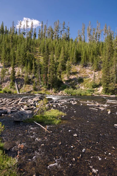 ทะเลสาบ Yellowstone และแม Yellowstone ในอ ทยานแห งชาต Yellowstone Wyoming ภาพถ่ายสต็อกที่ปลอดค่าลิขสิทธิ์