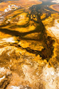 Ağaçlar, nehir, gayzer ve sıcak kaynak Wyoming 'deki Yellowstone Ulusal Parkı' ndaki eski sadık havzada.