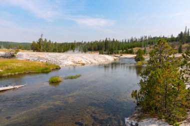Ağaçlar, nehir, gayzer ve sıcak kaynak Wyoming 'deki Yellowstone Ulusal Parkı' ndaki eski sadık havzada.