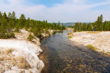 Ağaçlar, nehir, gayzer ve sıcak kaynak Wyoming 'deki Yellowstone Ulusal Parkı' ndaki eski sadık havzada.