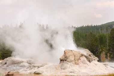 Ağaçlar, nehir, gayzer ve sıcak kaynak Wyoming 'deki Yellowstone Ulusal Parkı' ndaki eski sadık havzada.
