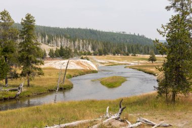 Ağaçlar, nehir, gayzer ve sıcak kaynak Wyoming 'deki Yellowstone Ulusal Parkı' ndaki eski sadık havzada.