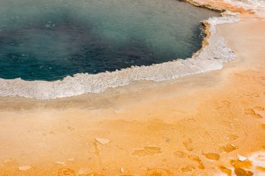 Ağaçlar, nehir, gayzer ve sıcak kaynak Wyoming 'deki Yellowstone Ulusal Parkı' ndaki eski sadık havzada.