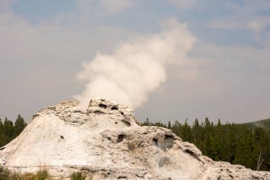 Ağaçlar, nehir, gayzer ve sıcak kaynak Wyoming 'deki Yellowstone Ulusal Parkı' ndaki eski sadık havzada.