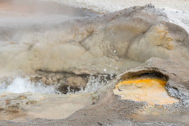Ağaçlar, nehir, gayzer ve sıcak kaynak Wyoming 'deki Yellowstone Ulusal Parkı' ndaki eski sadık havzada.