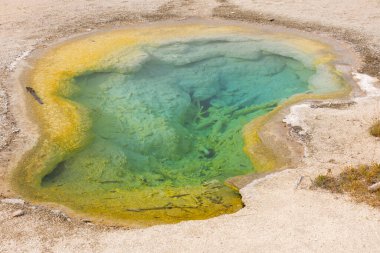Ağaçlar, nehir, gayzer ve sıcak kaynak Wyoming 'deki Yellowstone Ulusal Parkı' ndaki eski sadık havzada.