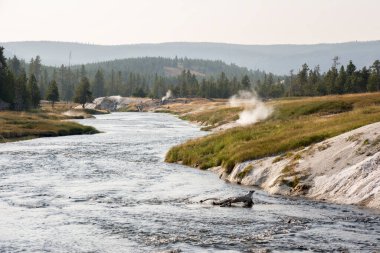 Ağaçlar, nehir, gayzer ve sıcak kaynak Wyoming 'deki Yellowstone Ulusal Parkı' ndaki eski sadık havzada.
