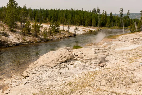 Árboles Río Géiser Aguas Termales Antigua Fiel Cuenca Del Parque — Foto de Stock