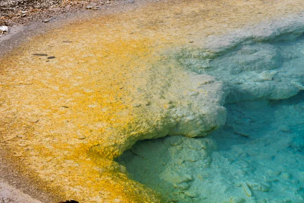 Bäume Fluss Geysir Und Heiße Quelle Yellowstone National Park Wyoming — Stockfoto