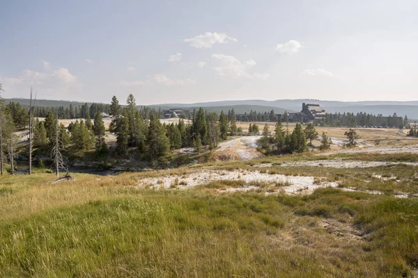 Träd Flod Geyser Och Varm Källa Gamla Trogna Bassängen Yellowstone — Stockfoto