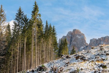 İtalya 'da Trentino Alto' daki Carezza Gölü 'nde ilk karın altında ağaçlar, dağ yolları.
