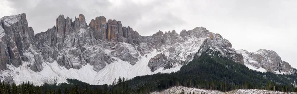 Träd Bergsstigar Den Första Snön Sjön Carezza Trentino Alto Adige — Stockfoto