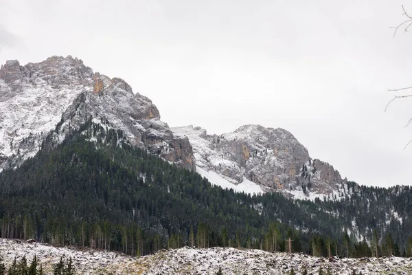 イタリアのトレンティーノ アルト アディジェのカレッツァ湖の最初の雪の下の木や山道 — ストック写真