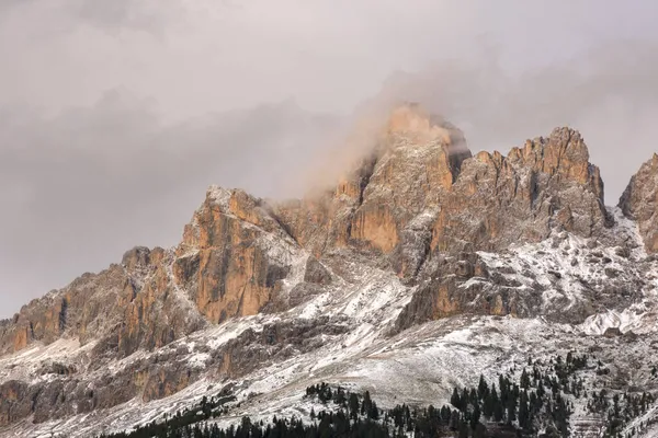 Träd Bergsstigar Den Första Snön Sjön Carezza Trentino Alto Adige — Stockfoto