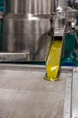 Yunanca bir yağ değirmeninde zeytinlerin petrole dönüştürülmesi