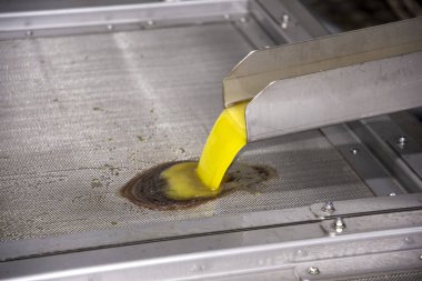 Yunanca bir yağ değirmeninde zeytinlerin petrole dönüştürülmesi
