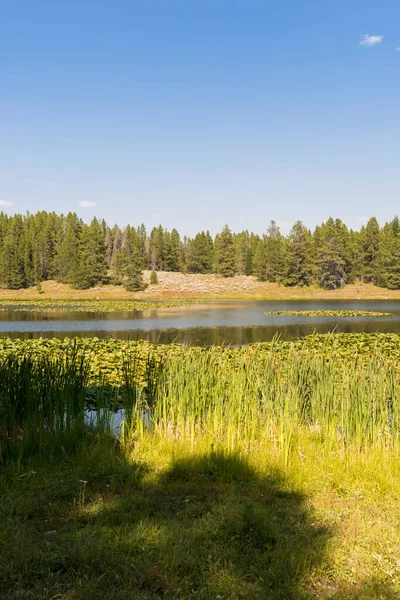 怀俄明州泰顿国家公园天鹅湖全景 — 图库照片