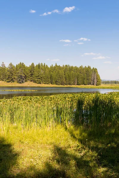 怀俄明州泰顿国家公园天鹅湖全景 — 图库照片
